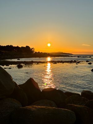 Fin natur, nära havet,barnvänlig strand, fridfullt - Bild 21