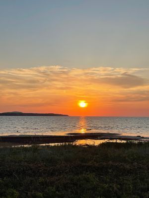 Fin natur, nära havet,barnvänlig strand, fridfullt - Bild 24