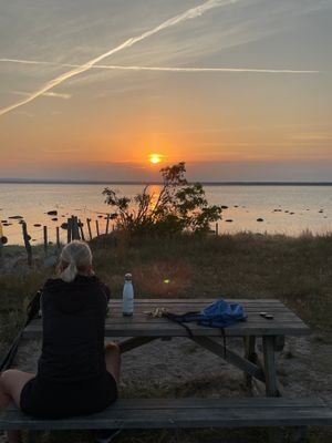 Fin natur, nära havet,barnvänlig strand, fridfullt - Bild 23