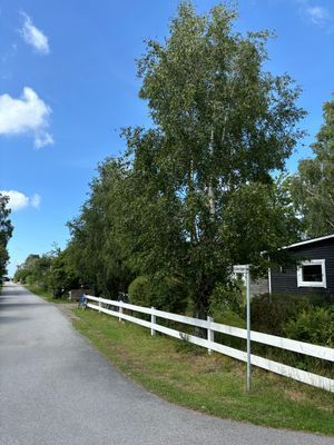 Fin natur, nära havet,barnvänlig strand, fridfullt - Bild 38