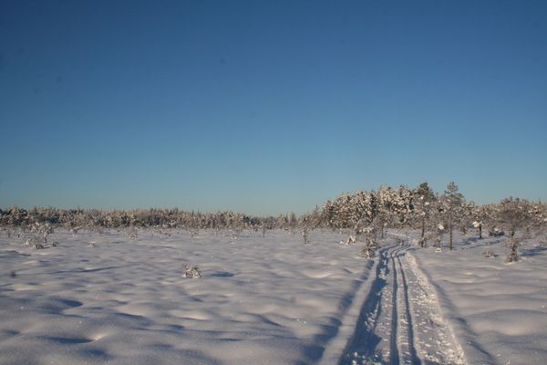 Två stugor i skogskanten nära High Chapall - Bild 9