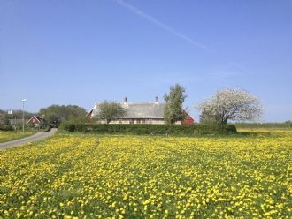 Arild, Kullaberg Kattegatsleden Arilds Vingård HL1