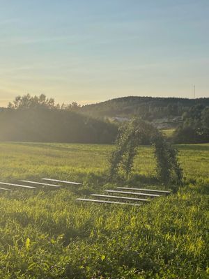 Chinova, bo på härlig lantgård i Järvsö - Bild 55