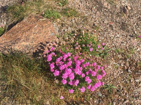 VILLA MED HAVSUTSIKT NÄRA CENTRUM OCH SALTA BAD - Bild 45