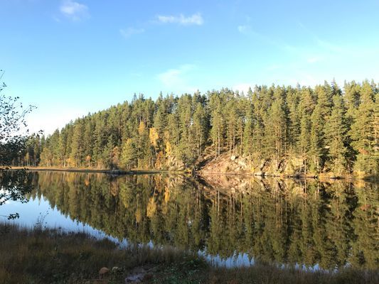 Torp med sjöläge vid kanotleden Svartälven, bastu - Bild 10