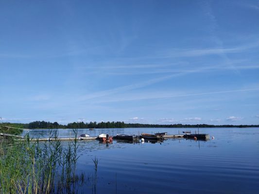 Trevlig stuga nära sjön Åsnen och skogar - Bild 8