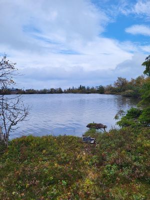 Görälven för fiske finns i närheten