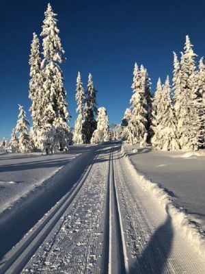 Sälen-Hundfjället, 3 sovrum, bastu, kamin - Bild 17