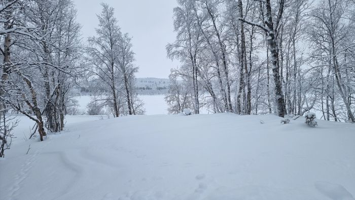 Hyr denna stuga i Tänndalen på 230 m². 13 sängplatser. Pris ej tillgängligt. Se bilder och tillgänglighet här.