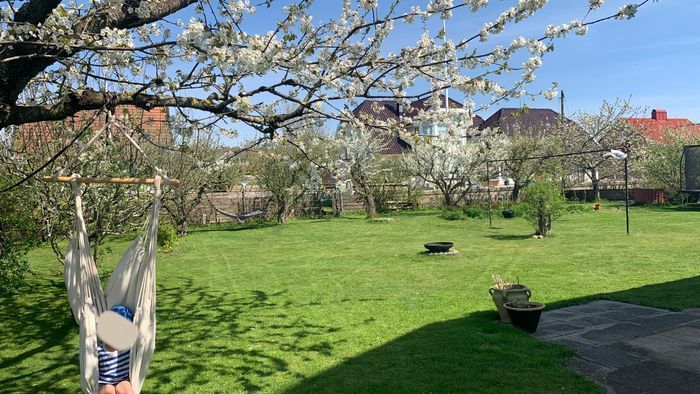 Havsnära villa i blomstrande trädgård