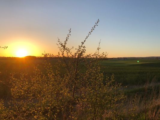 Rosdala gård: trivsamt gästhus i Skånelänga, 2+2 - Bild 55