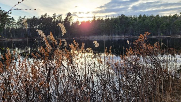 Stuga i Kolmården - Bild 14