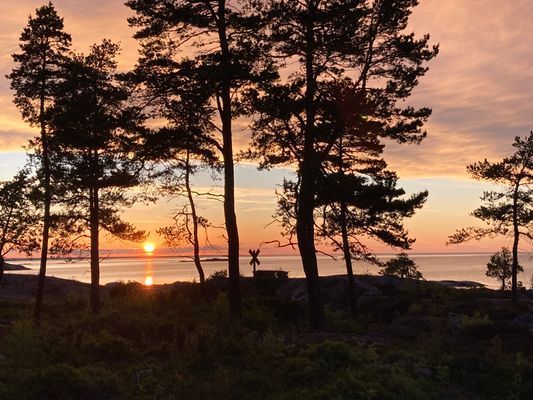 Stuga på skogstomt vid havet - Väddö - Bild 7