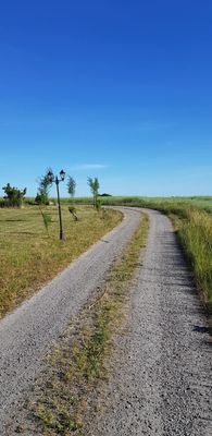 Rosdala gård: trivsamt gästhus i Skånelänga, 2+2 - Bild 18