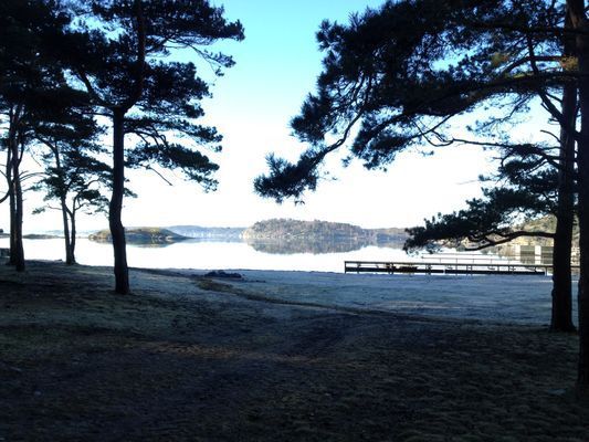 Bedårande hus i underbart naturläge vid havet - Bild 13