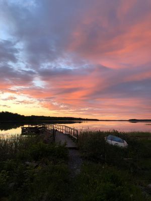 En helt vanlig sommarkväll