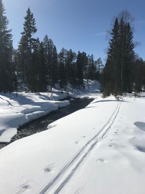 Sälen-Tandådalen-Hundfjället. Liftnära 5-bäddstuga - Bild 13