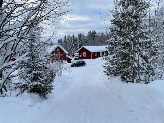 Modern stuga sjö/fjäll utsikt  i Lofsdalen (båt) - Bild 79