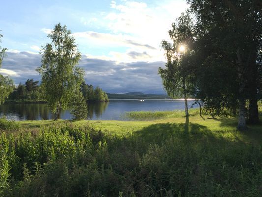 Utsikt från byvägen, 5 minuter genom skogen