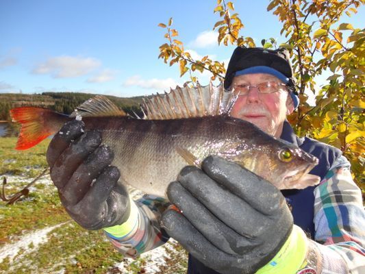 Innersta Friden, stugan med unikt sjönära läge - Bild 42