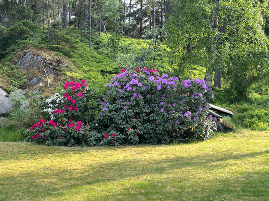 Skärgårdsdröm 50min från Stockholm - Bild 17