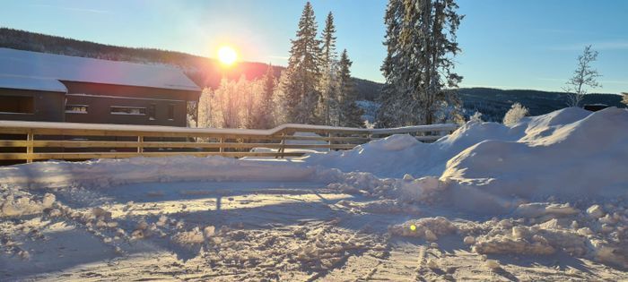 Hyr denna stuga i Tegefjäll på 50 m². 5 sängplatser. 3 - 8 500 kr per vecka. Se bilder och tillgänglighet här.