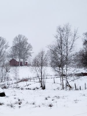 Stuga Ekkulle – bo med storslagna vyer - Bild 16