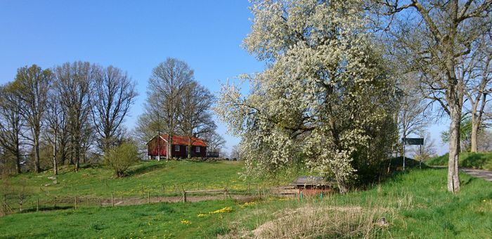 Stuga Ekkulle – bo med storslagna vyer