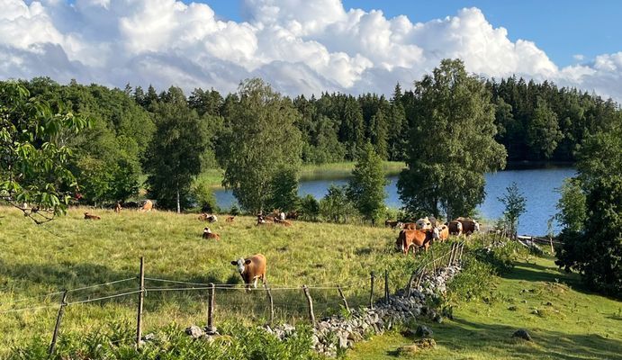 Stort hus i Småland - Bild 18