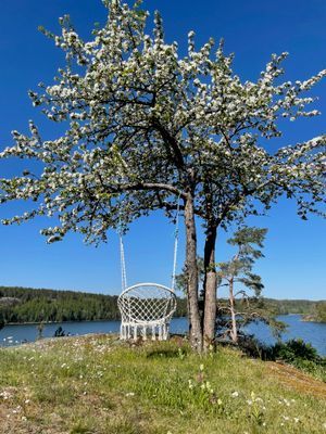 Hyr denna stuga i Valdemarsvik på 45 m². 2 sängplatser. 6 000 - 7 500 kr per vecka. Se bilder och tillgänglighet här.