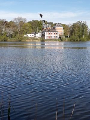 separat gästrum i hus på landet - Bild 7