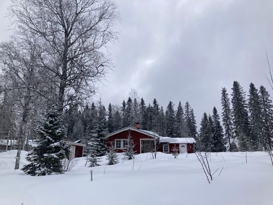 Ombonad stuga vid spår och sjö i Harsa