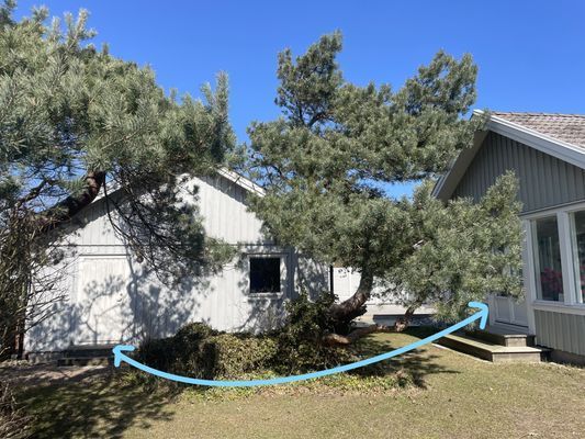 Strandnära hus / House near the beach in Frösakull - Bild 29