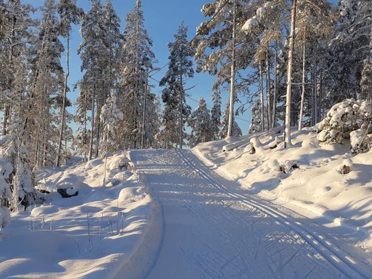 Elbelyst skid- och motionsspår, 2,5 km