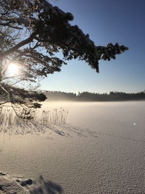 Lantlig exklusiv villa vid sjö - Bild 37