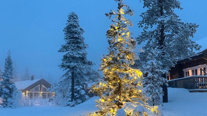 SÄLEN Högfjället Tallmyrslingan - Bild 19