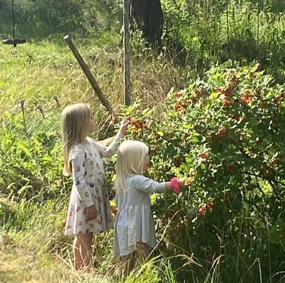 Hus från 1700-talet i Astrid Lindgrens Lönneberga. - Bild 16