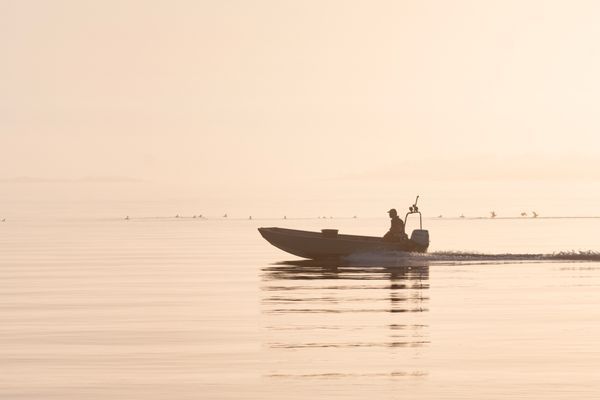 Aspö i Karlskronas skärgård - Bild 16