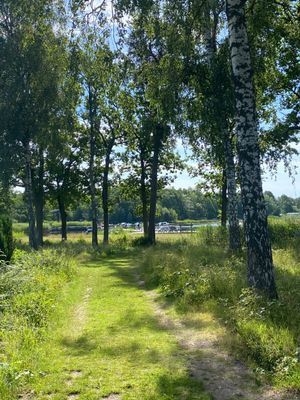 Nyrenoverad stuga med havsutsikt och nära naturen - Bild 11