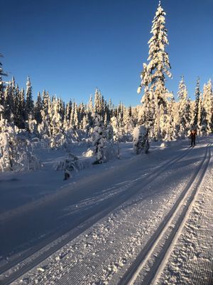 ***Parhus i Sälen/Tandådalen** - Bild 13