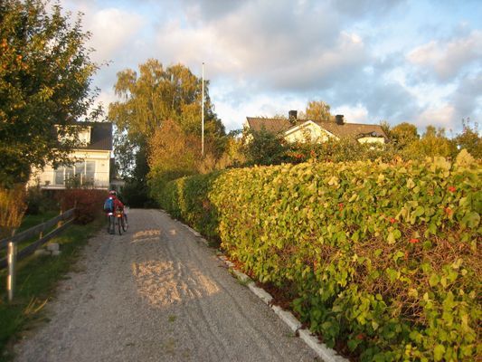 Stort hus nära Stockholm, vatten, bad och natur - Bild 11