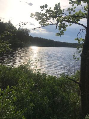 Småländsk idyll i gårdsmiljö - Bild 14