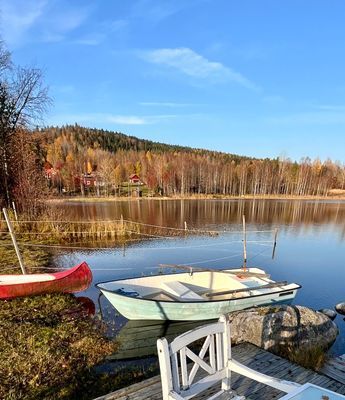 Stuga med strandtomt o söta ponnyer på gården