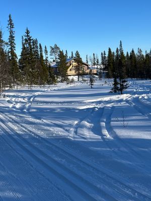 Bild 3 på Fjällstuga