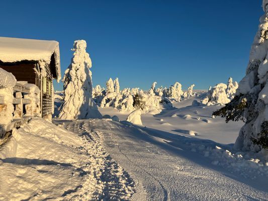 Mysig stuga snösäkra i Hemfjällstangen sälen - Bild 11