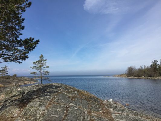 Stuga på skogstomt vid havet - Väddö - Bild 9