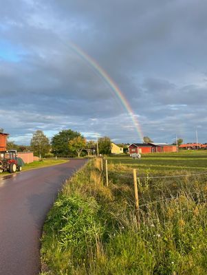 Separat del av villa i Vattnäs, Mora, Dalarna. - Bild 18