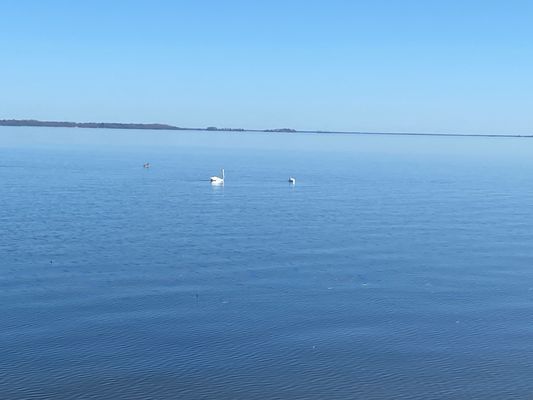 Bild 4 på Sommarhus vid Södra Hjälmaren med sjötomt