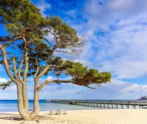 Bild 3 på Stuga nära strand hav och skog Åhus