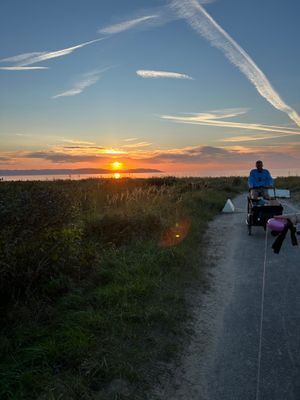 Gäststuga i Mellbystrand - Bild 11